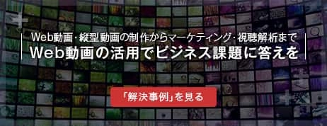 Web動画・縦型動画の制作からマーケティング・視聴解析まで Web動画の活用でビジネス課題に答えを 「解決事例」を見る