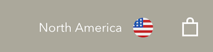 「North America」というラベルの右横に表示されているアメリカ国旗