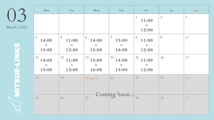 2025年度の会社説明会の日程（3/1~3/15分）。3/1 11:00~12:00、3/4 14:00~15:00、3/5 11:00~12:00、3/6 14:00~15:00、3/7 15:00~16:00、3/8 11:00~12:00、3/11 14:00~15:00、3/12 11:00~12:00、3/13 15:00~16:00、3/14 14:00~15:00、3/15 11:00~12:00