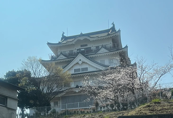 千葉城と桜
