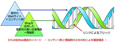 DNA型Web構造のイメージ −コンテンツ群と情報群の2本の柱による螺旋構造−
