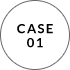 Case 01